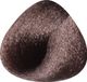 Toujours Trend Color 7.74 Oak