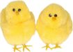 Humbert Und Brandt Gmbh Mini kuikentjes - 4x - geel - pluche - 7,5 cm - Paaskuikentjes - Paasdecoratie