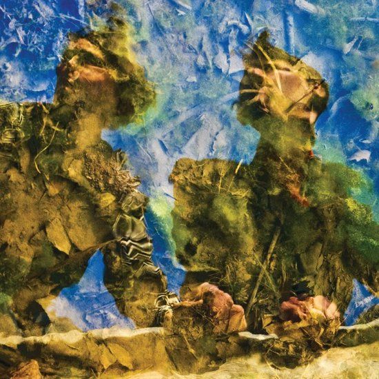 Waterdrawn Horse's Ha - Waterdrawn (LP)
