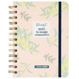 Mr. Wonderful Kleine Office agenda 2025 - De magie begint