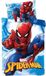 Jerry Fabrics Spiderman Housse de couette enfant city - 100 x 135 cm - 40 x 60 cm - Coton bleu