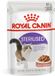 Royal Canin Nassfutter Sterilised Gravy
