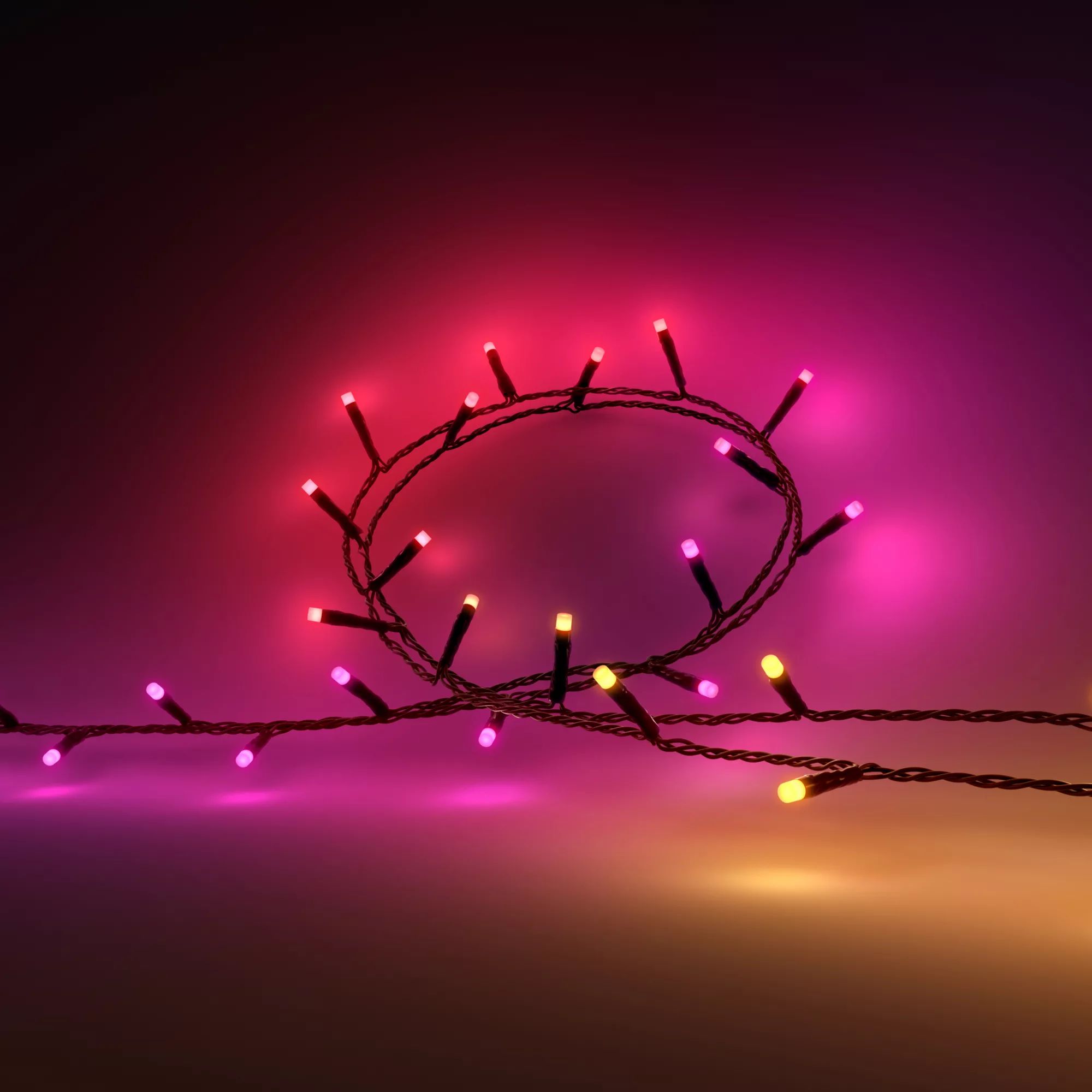 Philips Hue Festavia Smart String Light - 20m - 250 LEDs - Black