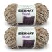 Bernat Velvet Garen - Set van 2 van 300 g, Polyester garen # 5 volumineus, 288 m, voor Breien/haken, beige (Mushroom)