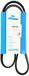 Metzger 6PK1035 V-riem