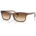 Ray-Ban zonnebril 0RB2226 bruin