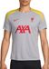Nike Liverpool FC M Nk Df Strk Ss Top K3R, Lt Smoke Grey/Lt Smoke Grey/Lt Smoke Grey/Global Red, FQ2611-078, XL