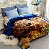 JYK Koreaanse fleece deken van imitatienerts 190,5 x 221 cm, 2,3 kg - 2-laags omkeerbare 520GSM zijdezachte pluche warme deken voor herfst winter (koningin, leeuw/dolfijn)