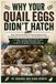 Why Independently Published Why Your Quail Eggs Didn't Hatch