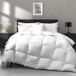 APSMILE Lichtgewicht dekbed met ganzenveren en dons, kingsize - verkoelend beddekbed, hotelcollectie 750 fill-power dun dekbedovertrek voor warm weer/warm slapers, 106 x 90 cm, wit