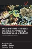Malż OmniScriptum SRL Malż olbrzymi Tridacna maxima z archipelagu Lakshadweep w Indiach: Zrozumienie ekologii populacji