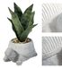 Vetplant GHA Vetplant schildpad 17,5 x 13