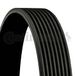 CONTITECH 8PK1162 Extra V-Geribbelde riem en V-Geribbelde riemset