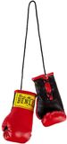 BENLEE Rocky Marciano Unisex miniatuur bokshandschoenen, donkerrood, eenheidsmaat EU