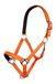 HKM Stars Softice Halster Neon-Oranje Shetland Pony