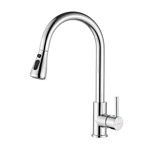 Ibergrif Kitchen Faucet with Removable Remote, Sink Mixer, Water Saving, Chrome, Silver
