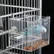 Automatische vogelvoeding No Mess Bird Cage Pet Feeder Zaad Voedsel Container voor parkiet kanarievogel valkparkiet papegaai Fink Canaries acryl (13x13x11 cm)