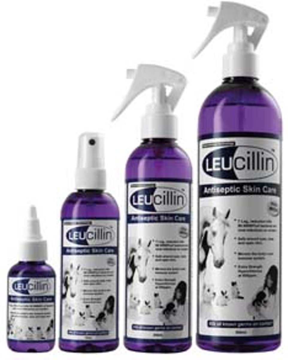 Leucillin 500 ml Spray Antiseptic Skincare