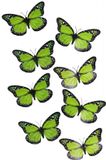 Gerimport Papillons de Noël - 8 pièces - vert - sur clip - 12 x 6 cm - plastique