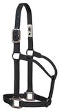 Weaver Leather 35-7385-BK Originele niet-verstelbare nylon halter met verchroomde hardware, zwart, 1 inch gemiddeld paard