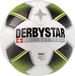 Derbystar Voetbal Brillant TT Maat 5