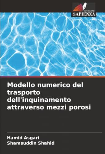 Modello DE Modello numerico del trasporto dell'inquinamento attraverso mezzi porosi