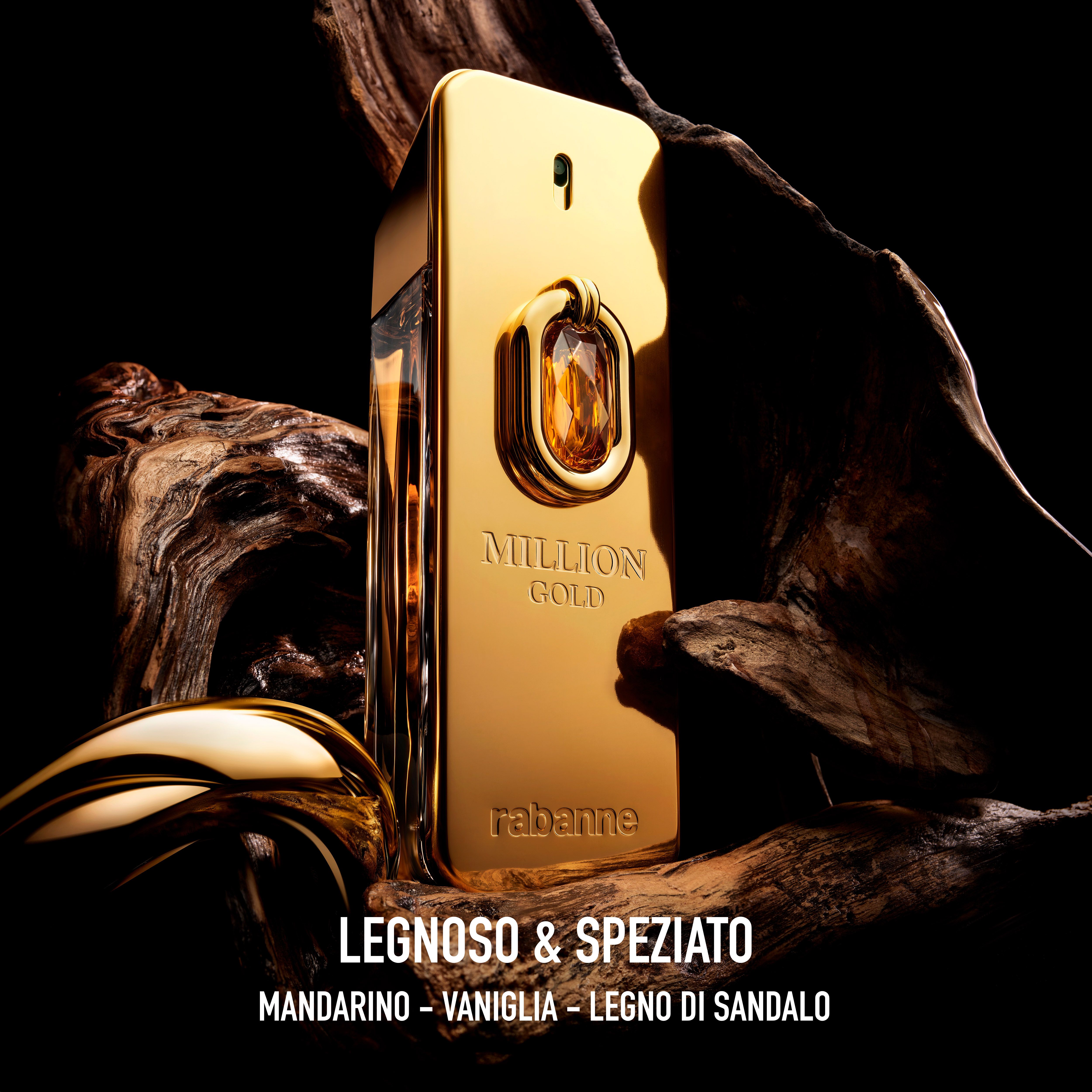 Rabanne Paco Rabanne Parfum / 100 (ml) / Mannen