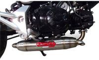 GPR Exclusive Deeptone Inox Reverse Msx/grom 125 13-17 Cat Complet Système d'échappement homologué Argent Homologué