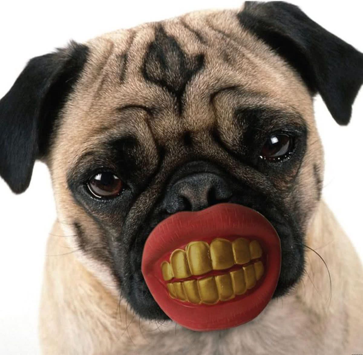 Mikamax Pimp Chew Toy
