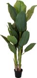 Home & Styling Kunstplant bananenplant - in pot - 165 cm