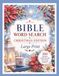 Bible Word Search Christmas Edition 2 - Large Print