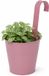 Pro Garden Bloempotje met haak - plantenbak zink met ophanghaak - roze - 20 x 13 x 26 cm