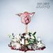 Crusher Grave Babies Crusher (LP)