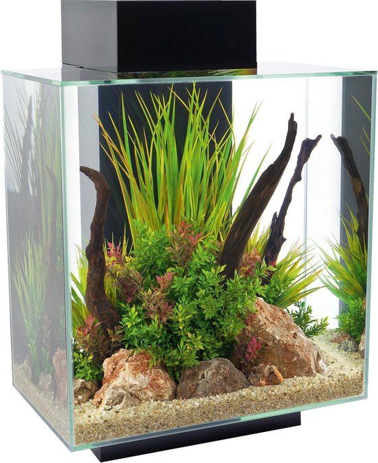 Fluval Edge 2.0 Aquarium - 46 Liter - Zwart