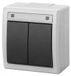 AQUANT IP55 wandmontageschakelaar, dubbel, waterdicht, grijs, artikelnummer EPN 5002-10