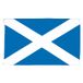 AZ FLAG Schotland 150x90 cm Polyester Vlag