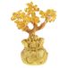 Feng Shui Citrien Boom