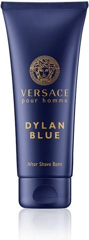 Versace Dylan 100 ml / heren