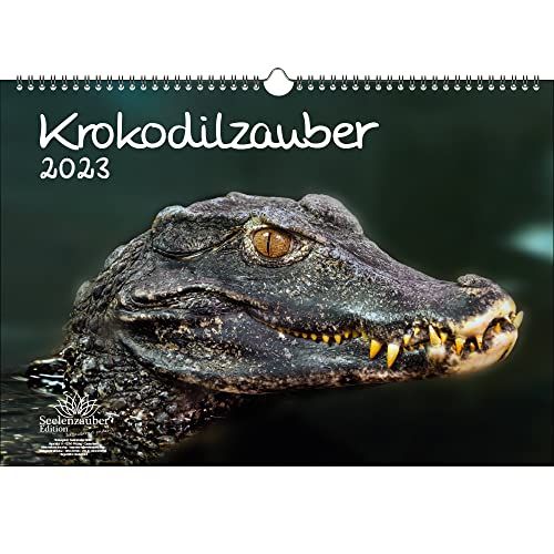 Seelenzauber Krokodilmagie 2023 Kalender A3 - Krokodil en Alligators