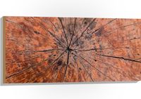 Merkloos / Sans marque Foto op Hout - Close-up van Textuur in Doorgesneden Boomstam - 100x50 cm - 9 mm dik - Bruin - Rechthoek