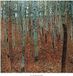 Your Decoration B.V. Kunstdruk Gustav Klimt - Faggeto 70x70cm