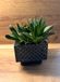 Kimmel Plantenpot, vierkant, 13 cm, grijs, set van 2