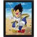 Dragon Ball Z Cadre lenticulaire 3D Transformation Saiyan Grand Singe