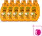 Garnier Loving Blends Shampoo Argan & Cameliaolie Droog & Dof Haar 300 ml - 12 Stuks