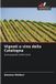 Vigneti Edizioni Sapienza Vigneti e vino della Catalogna