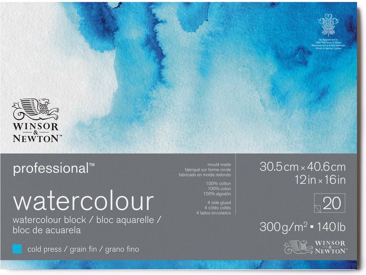 Winsor & Newton Professioneel Aquarelblok 300 grams 20 vel rondom verlijmd 100% Katoen