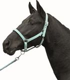 HKM Stars Softice Halster Zacht Aqua Cob