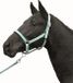 HKM Stars Softice Halster Zacht Aqua Cob