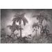 Forêt Tropicale Papier Peint Panoramique - 390 cm x 260 cm