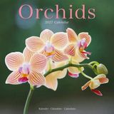 Avonside Orchidee Kalender 2027 Wandkalender